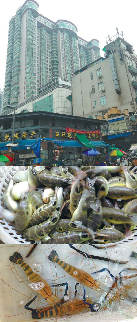 Fish, shells and crustaceans