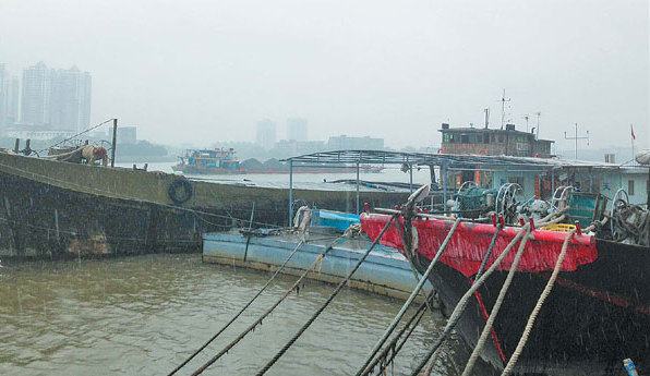 Fish, shells and crustaceans