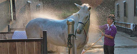 Leap of faith required