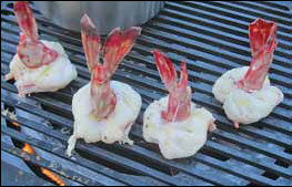 Savoring the tropics one bite at a time