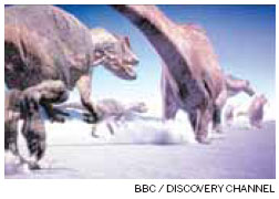 <FONT color=black>Findings</FONT>