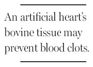 New heart uses parts from cows