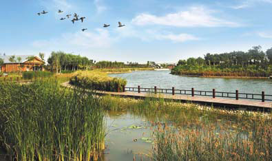 Connections that build sustainable communities