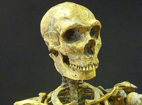 為復(fù)活已滅絕3萬余年古人類 哈佛教授尋找勇敢代孕母親