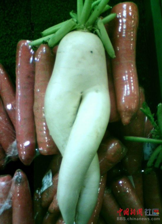 成精的蘿卜君！《大根逃亡記》爆紅