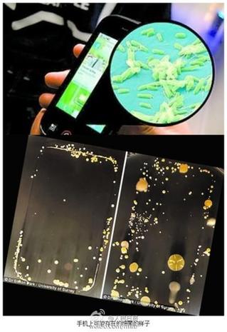 網傳觸屏手機比男廁臟應消毒 網友:用開水煮嗎?