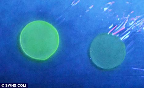 “神奇膏藥”可在檢測到傷口感染時發光(圖)