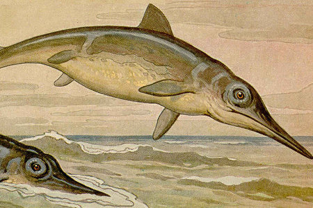 地球歷史上5次物種大滅絕：終結恐龍時代