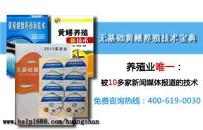 關于黃鱔養殖技術資料網絡調查