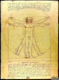 人體也能無限再生嗎 存在倫理風(fēng)險(xiǎn)(圖)