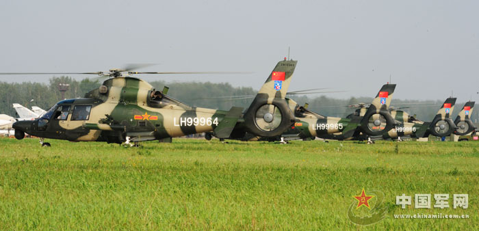 我軍赴俄參演戰機首訓 飛行員頭盔涂豹頭圖案