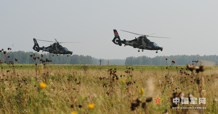 我軍赴俄參演戰機首訓 飛行員頭盔涂豹頭圖案