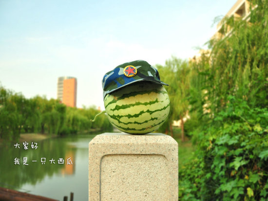 學生軍訓西瓜君走紅網絡 賣萌搞笑惹人愛(組圖)