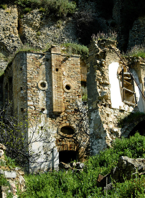 萬物有靈！看房子的豐富表情(組圖)