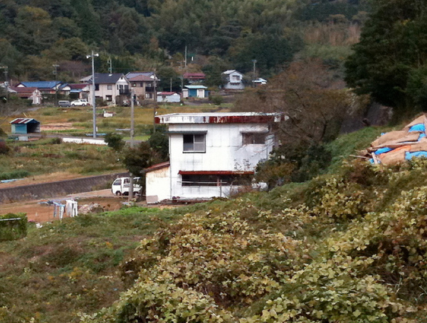 萬物有靈！看房子的豐富表情(組圖)