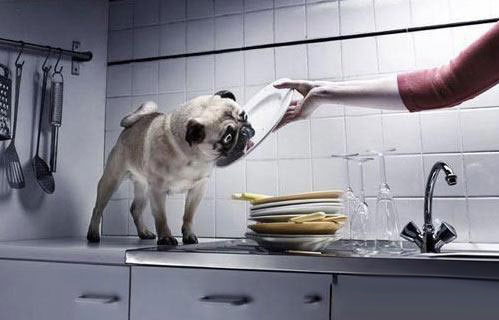 養(yǎng)生：警惕身邊17種有毒生活用品(組圖)