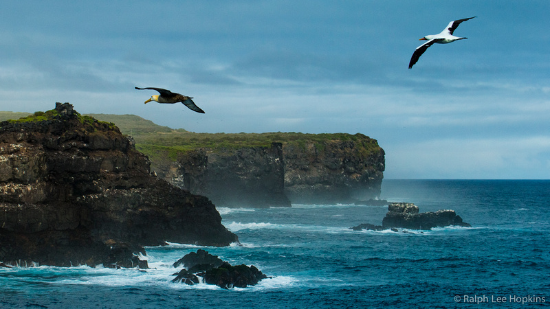 流連“最后天堂”科隆群島：海獅與人共享美景