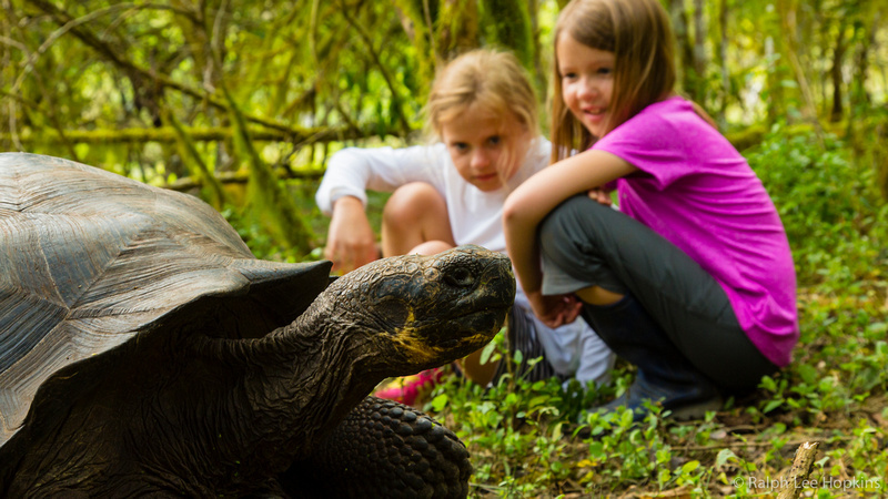 流連“最后天堂”科隆群島：海獅與人共享美景