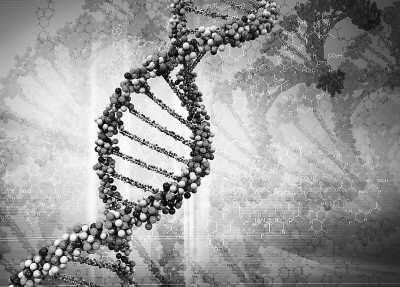 美國科學家發現DNA生物時鐘