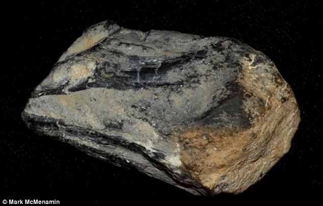 化石證據顯示巨型挪威海怪確曾存在(組圖)