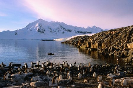 神秘夢幻的南極大陸(組圖)