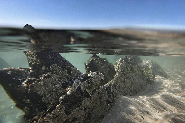 英古堡附近現百年前神秘遇難船(組圖)