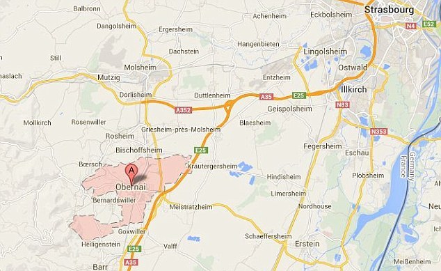 法國發現1650年前貴族頭骨：嚴重畸形呈錐形(組圖)