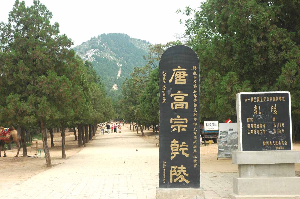 2013最受關注的考古大事件