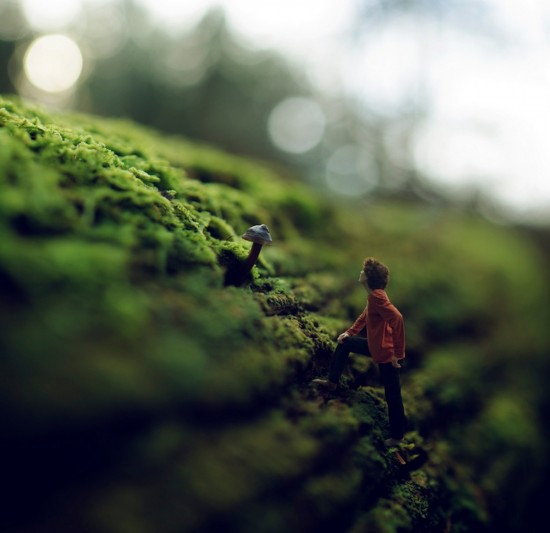 14歲天才攝影師的奇幻世界