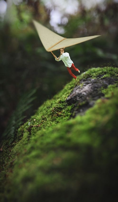 14歲天才攝影師的奇幻世界