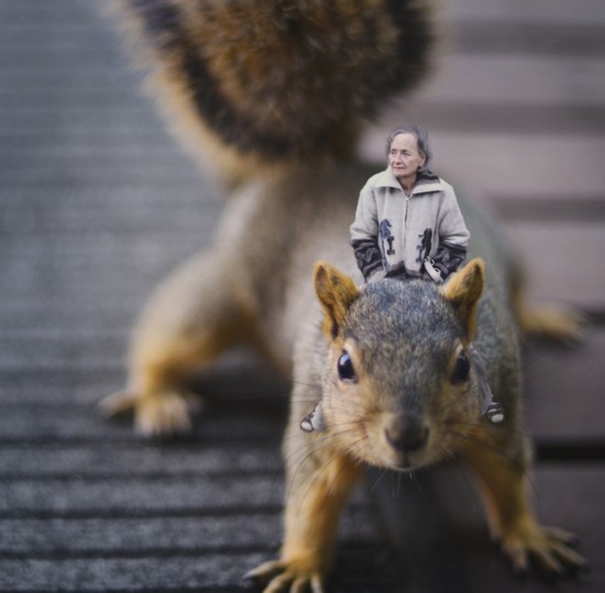 14歲天才攝影師的奇幻世界