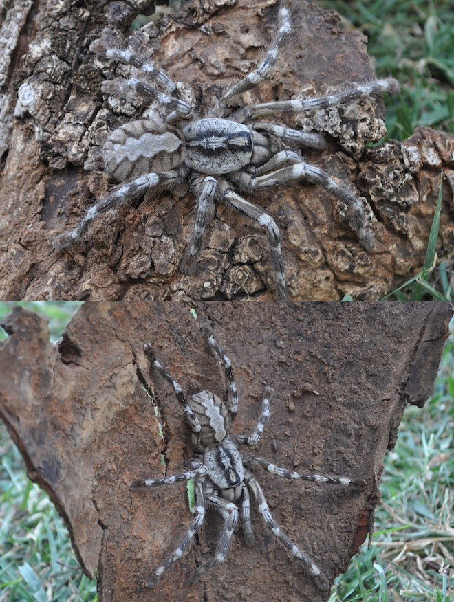 《連線》2013最受關(guān)注的13個科學(xué)故事