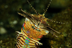 《連線》2013最受關(guān)注的13個科學(xué)故事