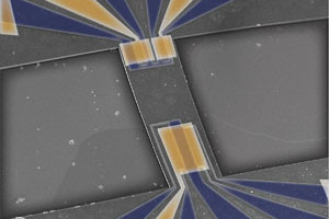 《連線》2013最受關注的13個科學故事