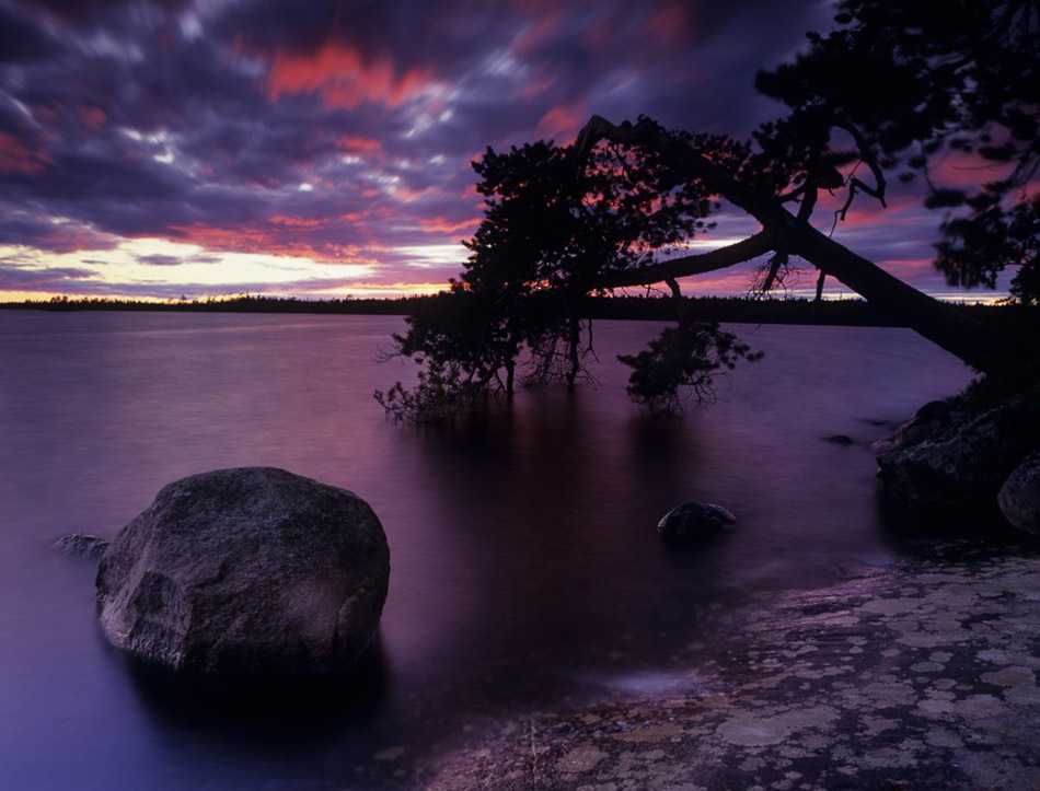 攝影師鏡頭下的美麗世界(高清組圖)