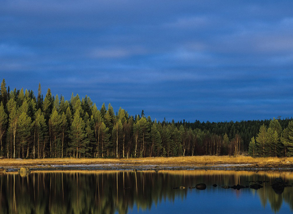 攝影師鏡頭下的美麗世界(高清組圖)