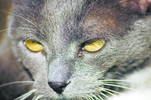 你會(huì)抑郁嗎?