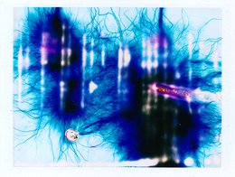 沒被高壓電劈過的膠片不是好畫布