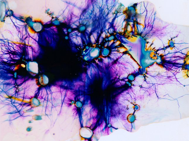沒被高壓電劈過的膠片不是好畫布