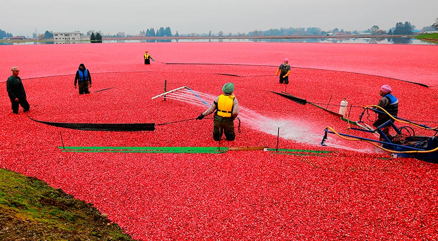 Canada in the eyes of photographers