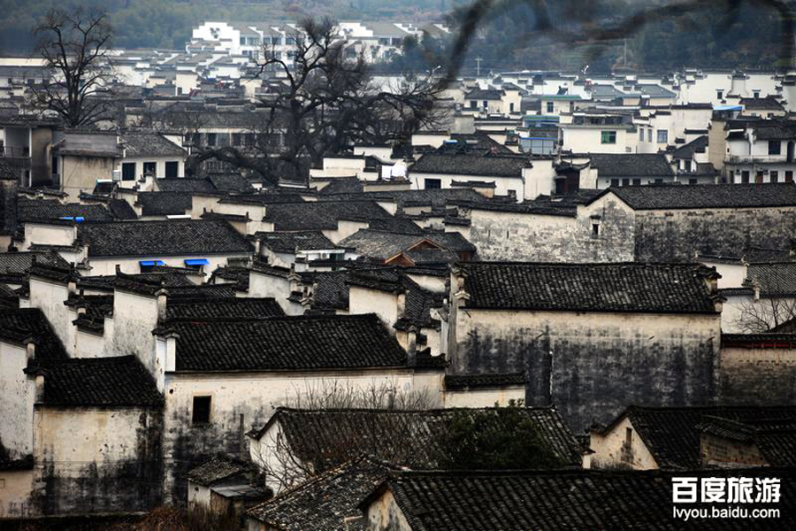 被美國CNN評為“中國最美的五大水鄉”