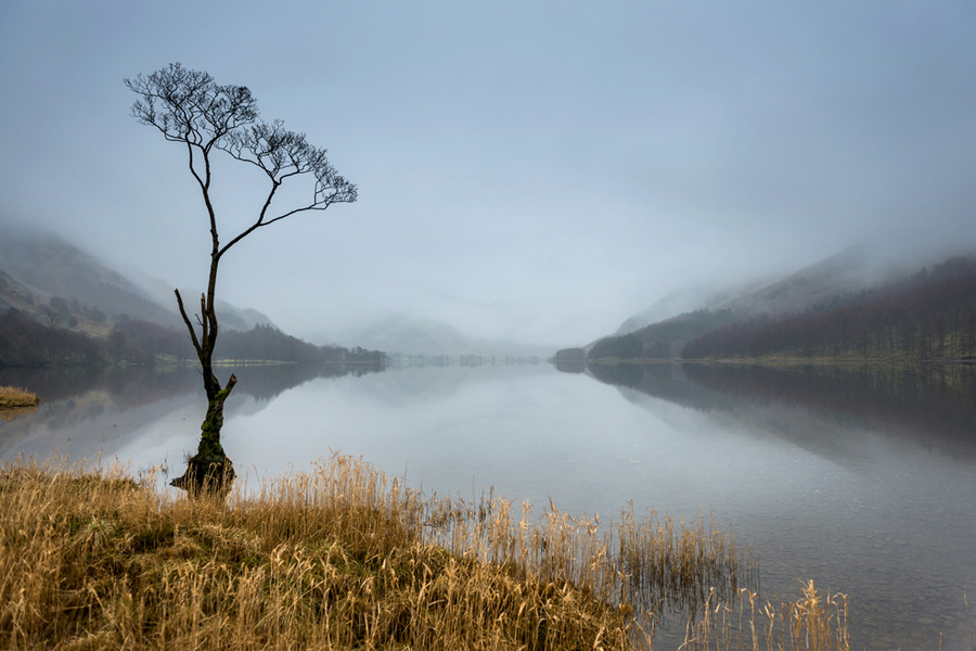 《國家地理》雜志影賽優秀作品賞析【高清組圖】