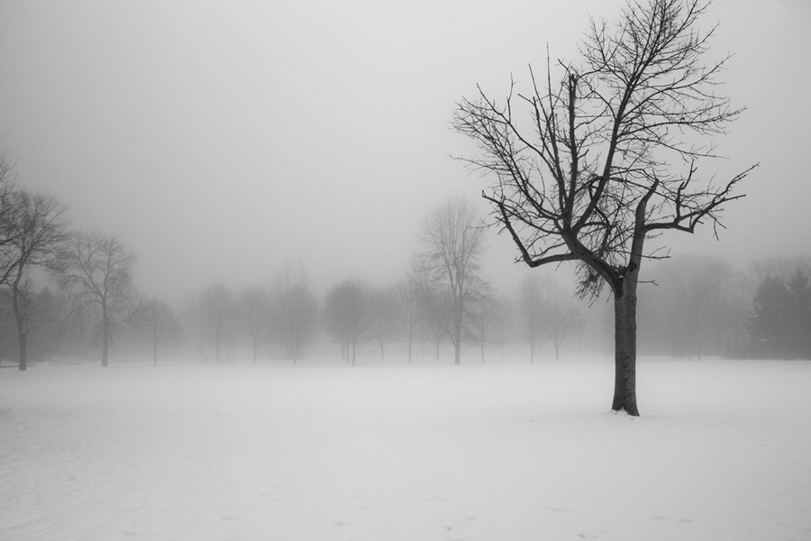 《國家地理》雜志影賽優秀作品賞析【高清組圖】