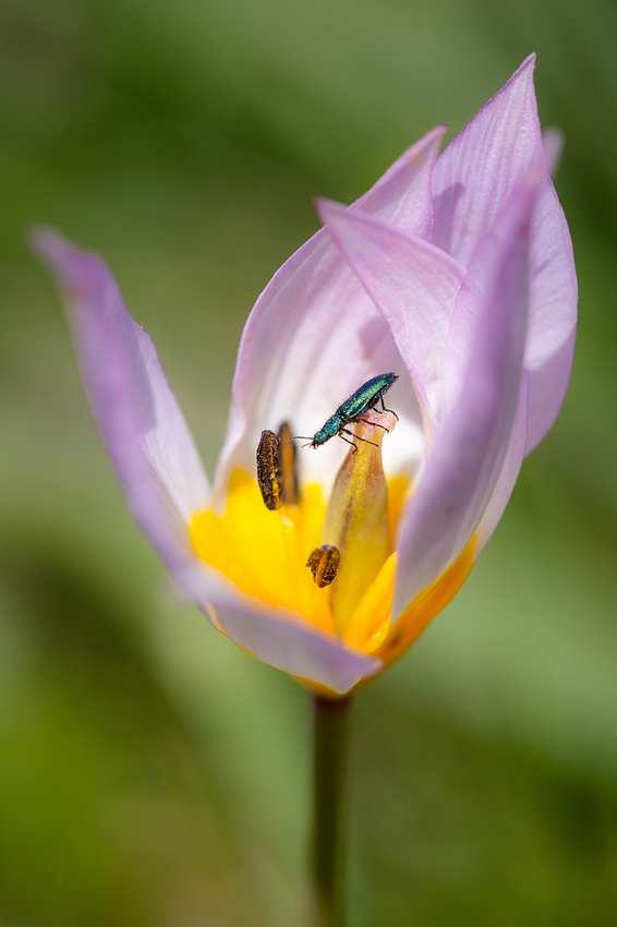 《國家地理》雜志影賽優秀作品賞析【高清組圖】