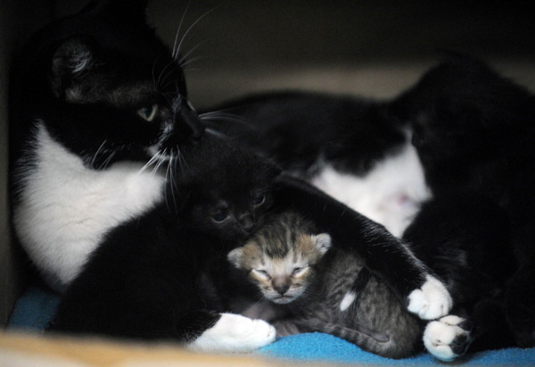 Weekly photo: August 9-12