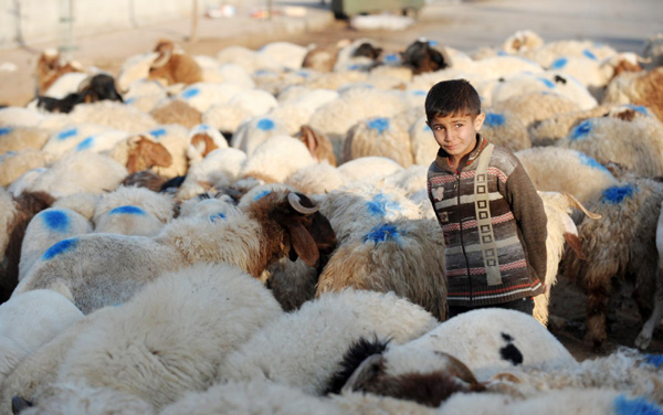 Life weekly photos: Oct 30-Nov 5