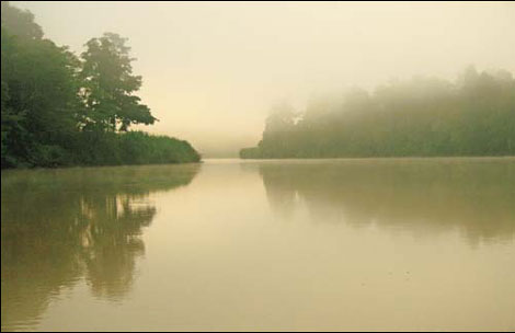 Welcome to the jungle