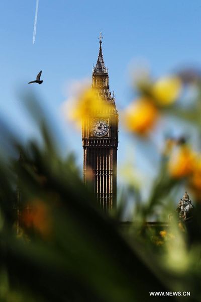Northern hemisphere embraces flourishing spring flowers