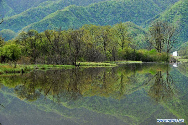 Scenery of Dajiuhu Wetland in Shennongjia