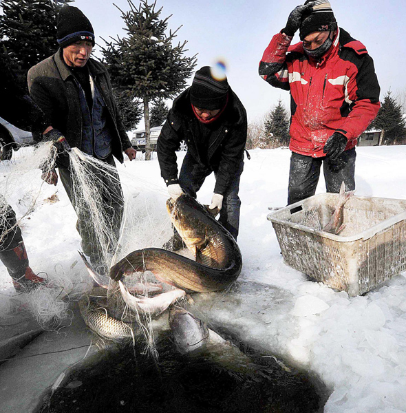 Winter fishing festival marked in NE China Winter fishing festival marked in NE China